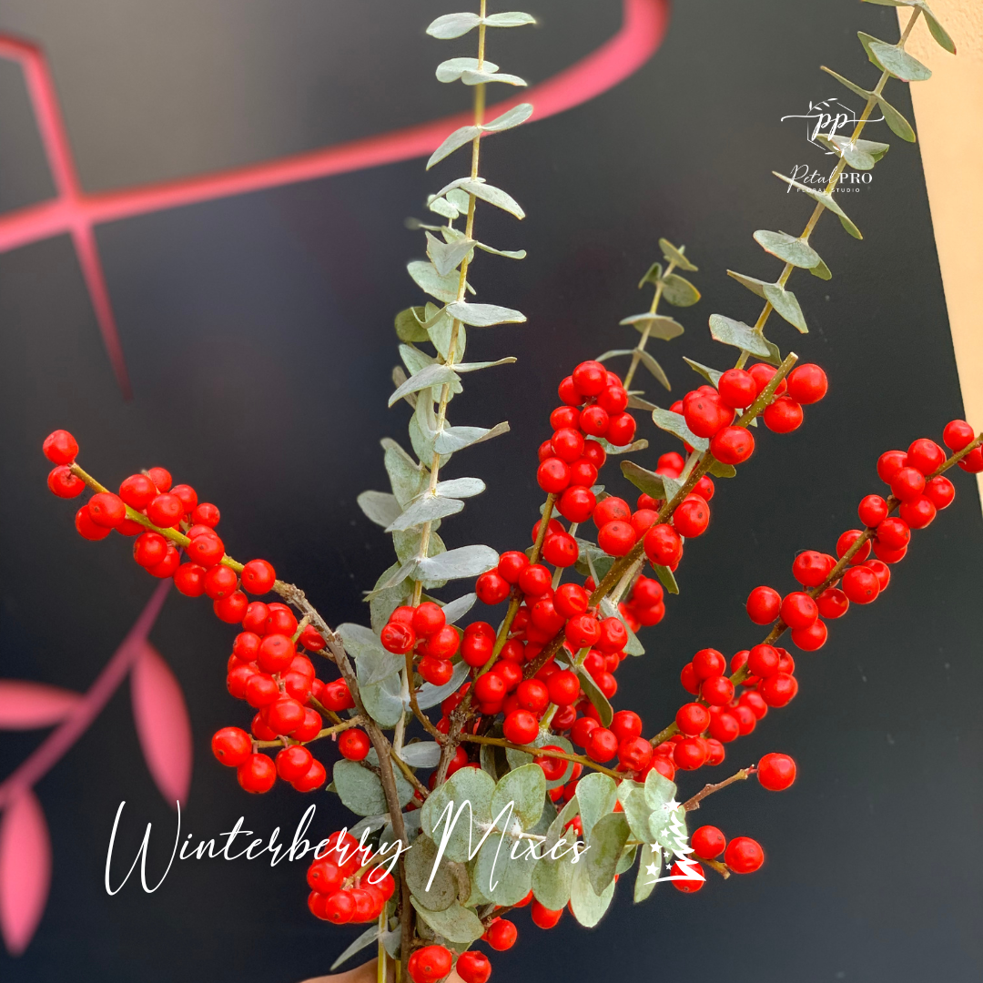 Winterberry Mixes