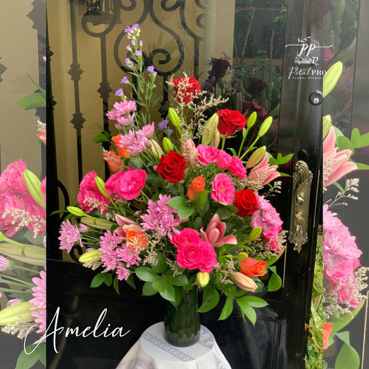 Amelia