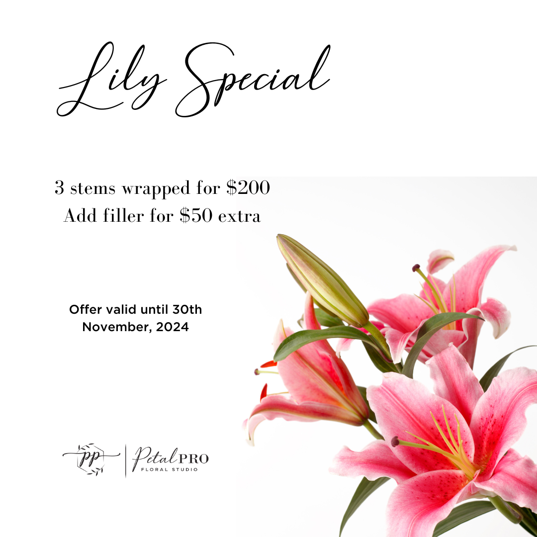 Lily Special