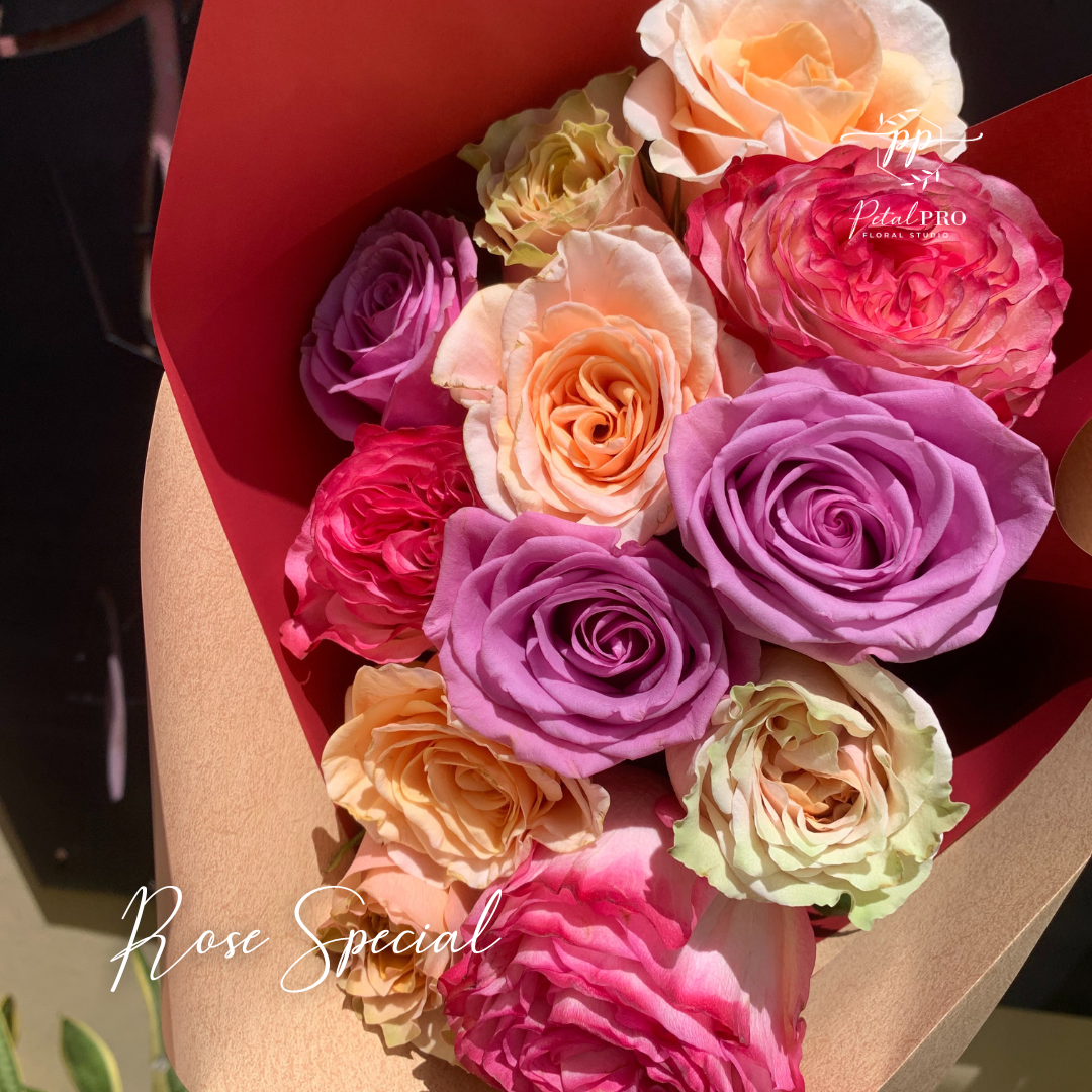 Rose Special
