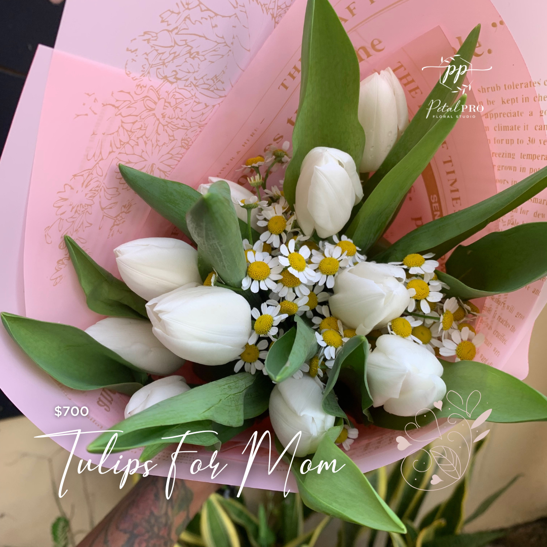 Tulips for Mom