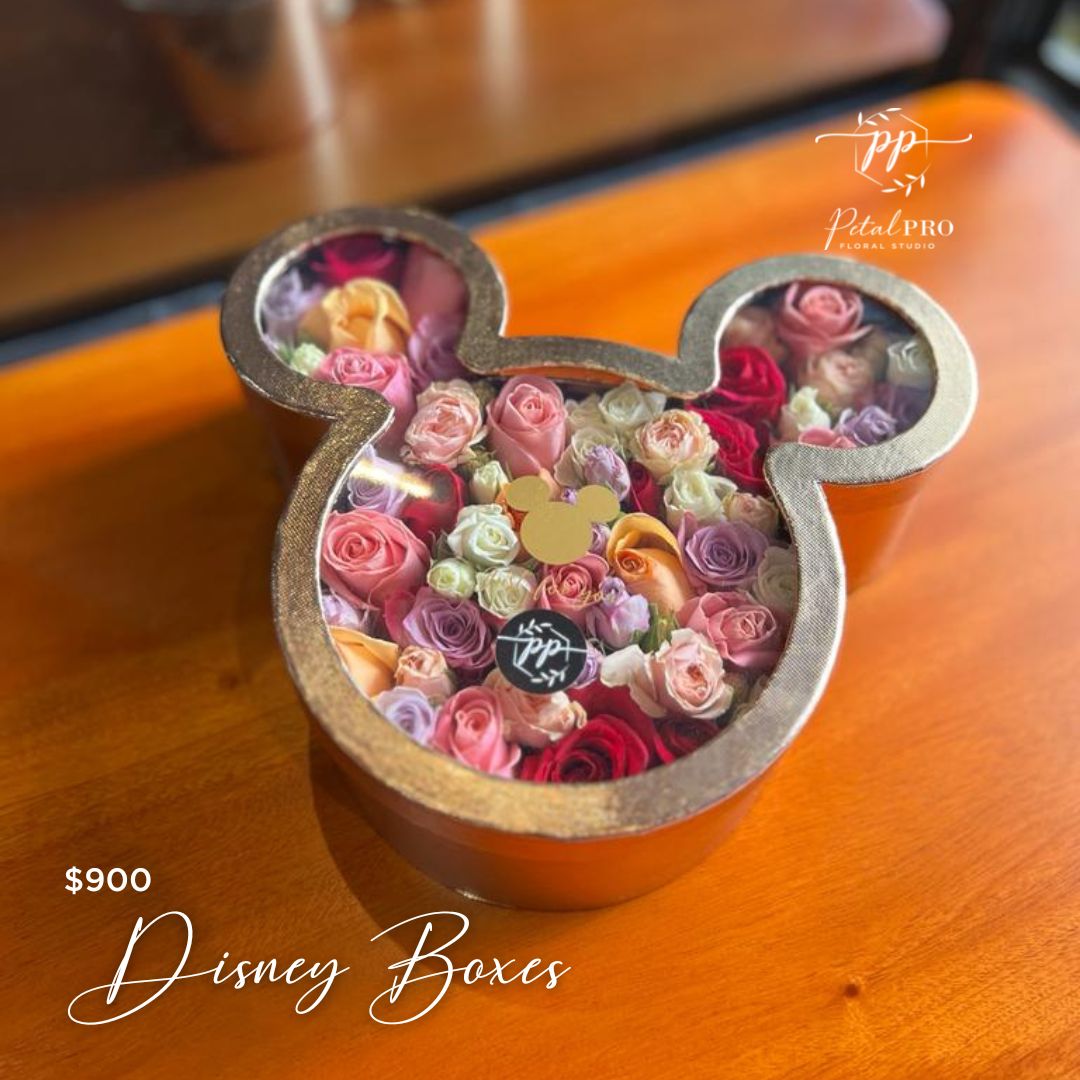 Disney boxes