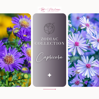 Zodiac Collection: Capricorn