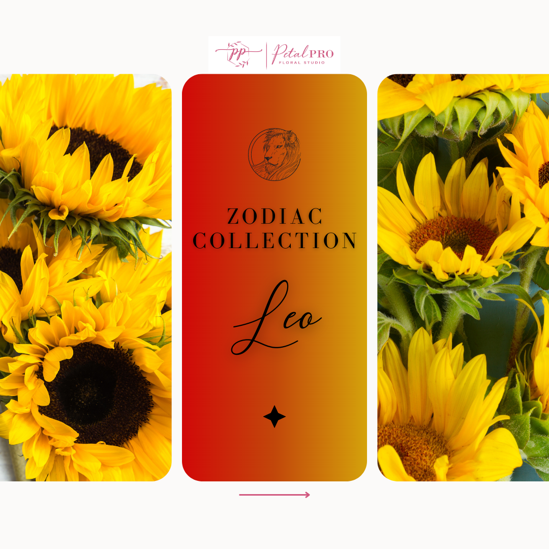 Zodiac Collection: Leo