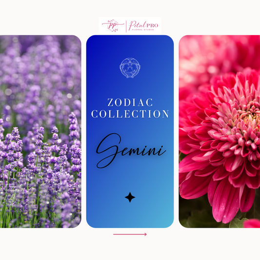 Zodiac Collection: Gemini