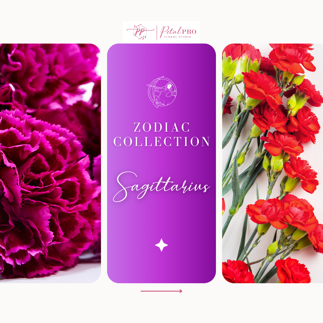 Zodiac Collection: Sagittarius