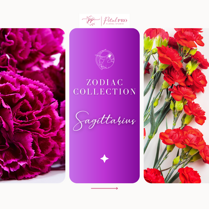 Zodiac Collection: Sagittarius