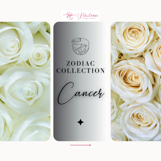 Zodiac Collection: Cancer