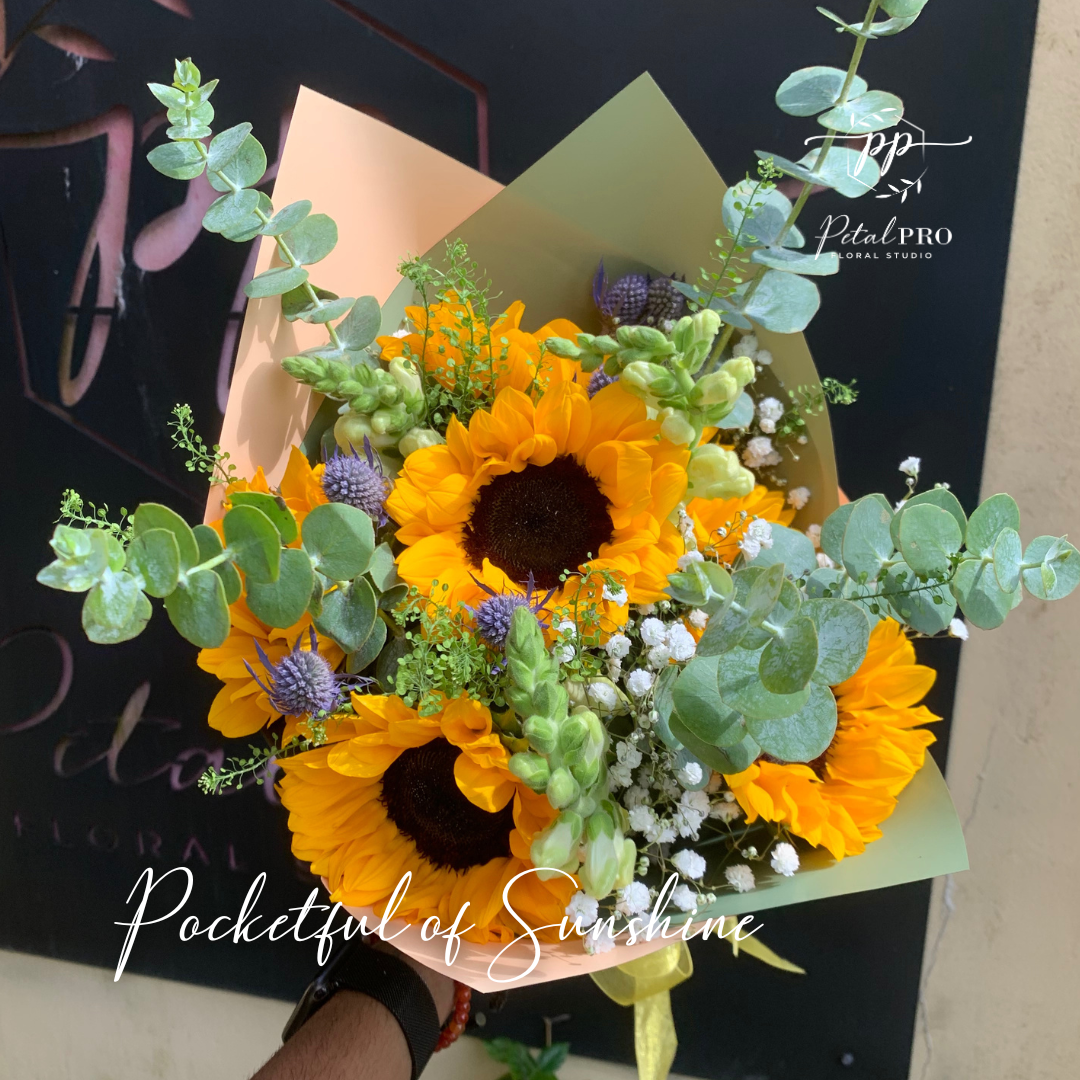 Pocketful of Sunshine