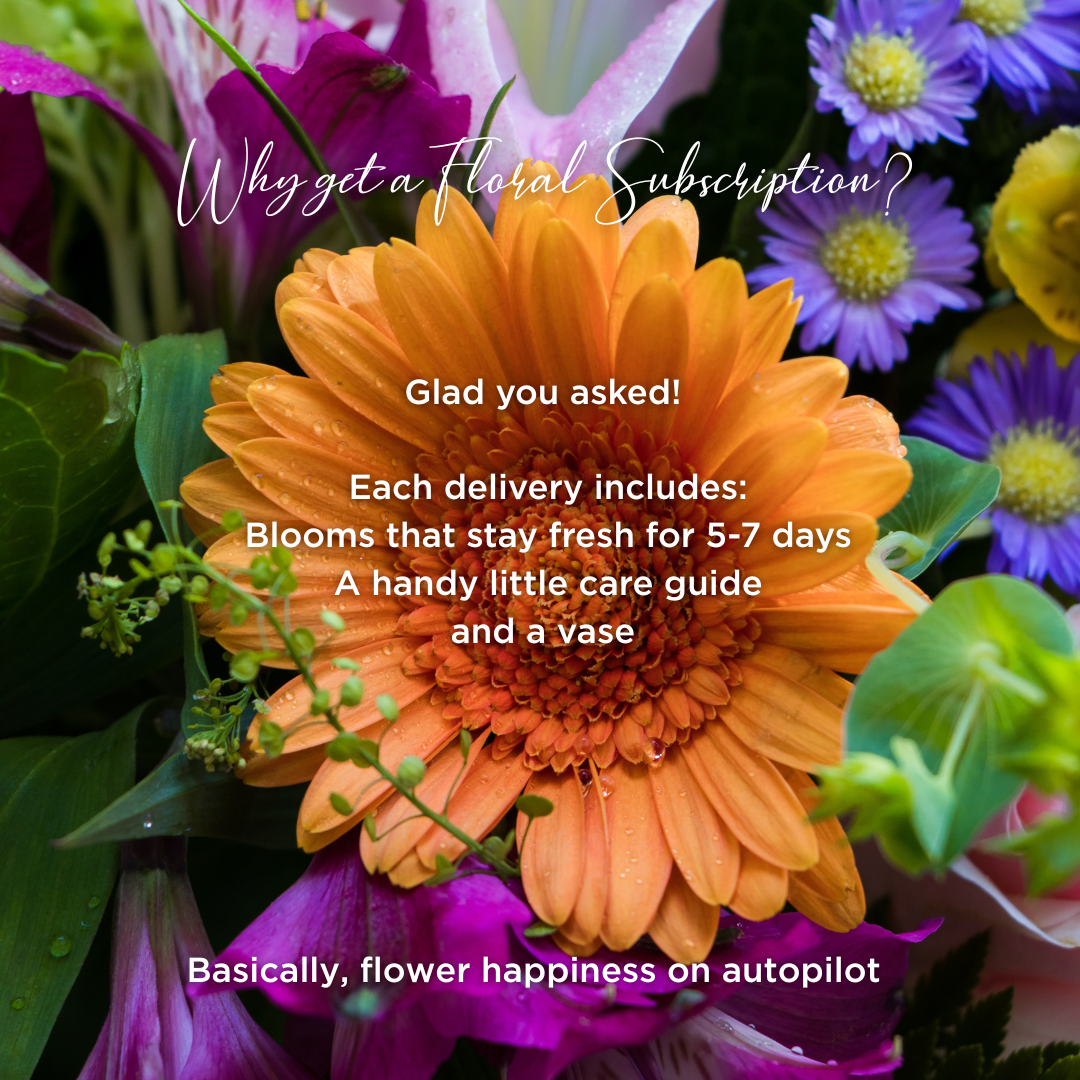 Floral Subscription - Stems & Surprises
