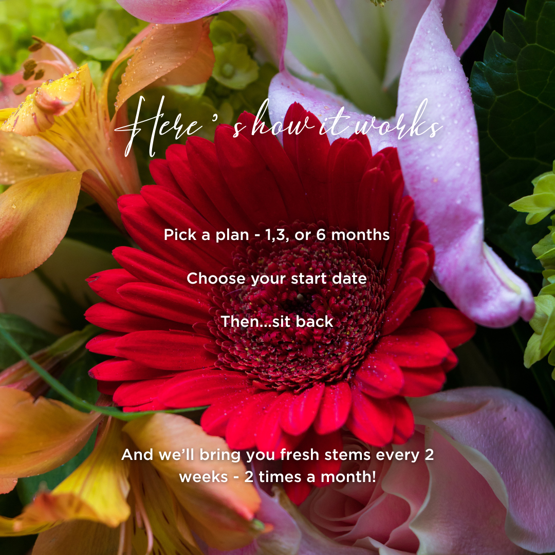 Floral Subscription - Stems & Surprises