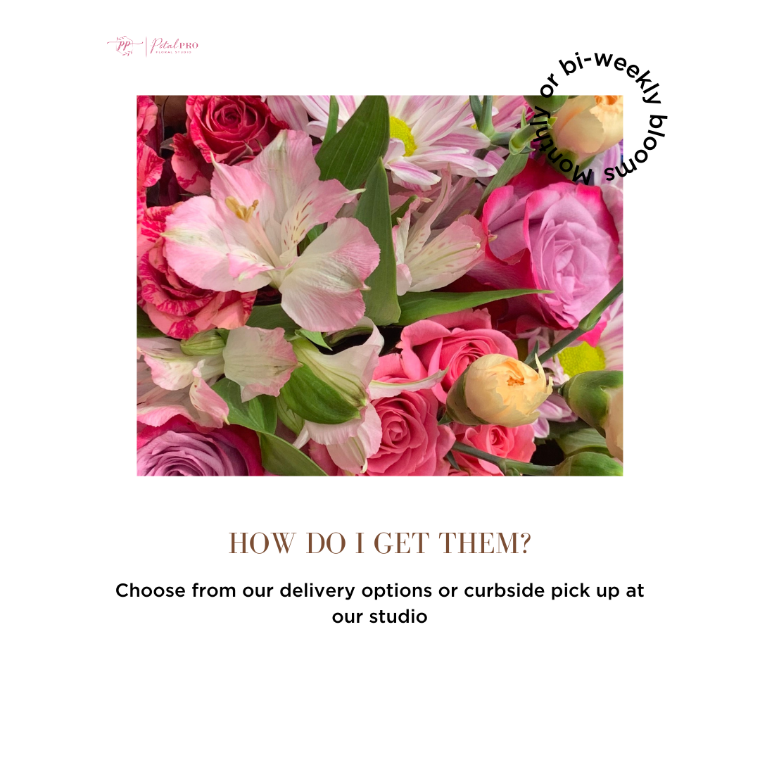 Floral Subscription