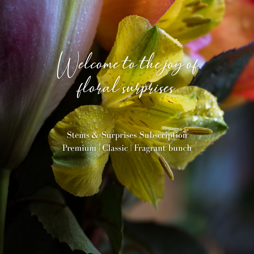 Floral Subscription - Stems & Surprises
