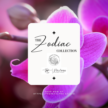 Zodiac Collection: Aquarius