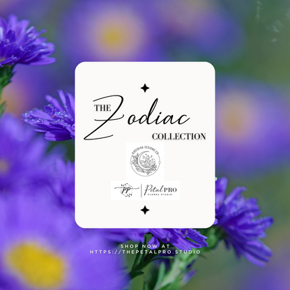 Zodiac Collection: Capricorn