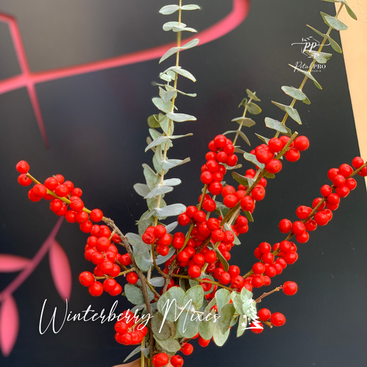 Winterberry Mixes