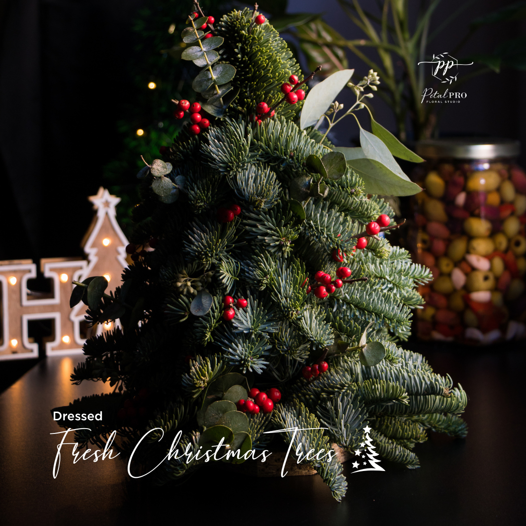 Christmas Trees & Wreaths