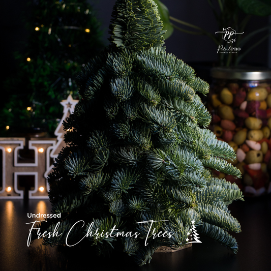 Christmas Trees & Wreaths