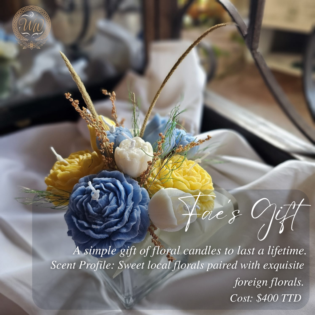 Fae's Gift