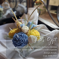 Fae's Gift