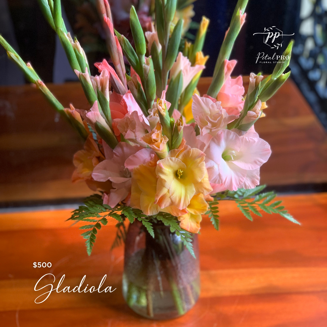 Gladiola