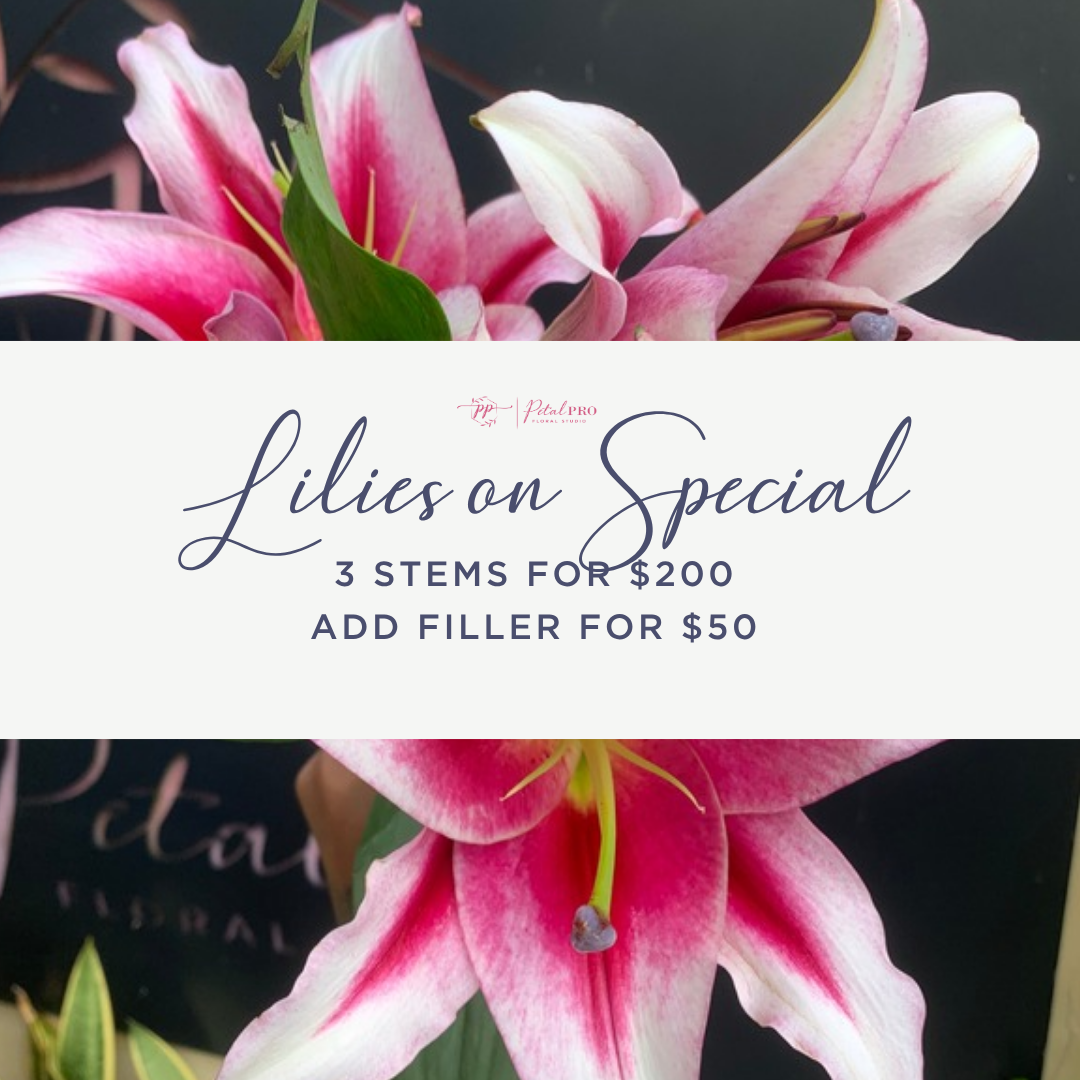 Lily Special