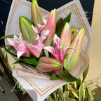 Lily Special