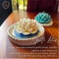 Gentle Lotus