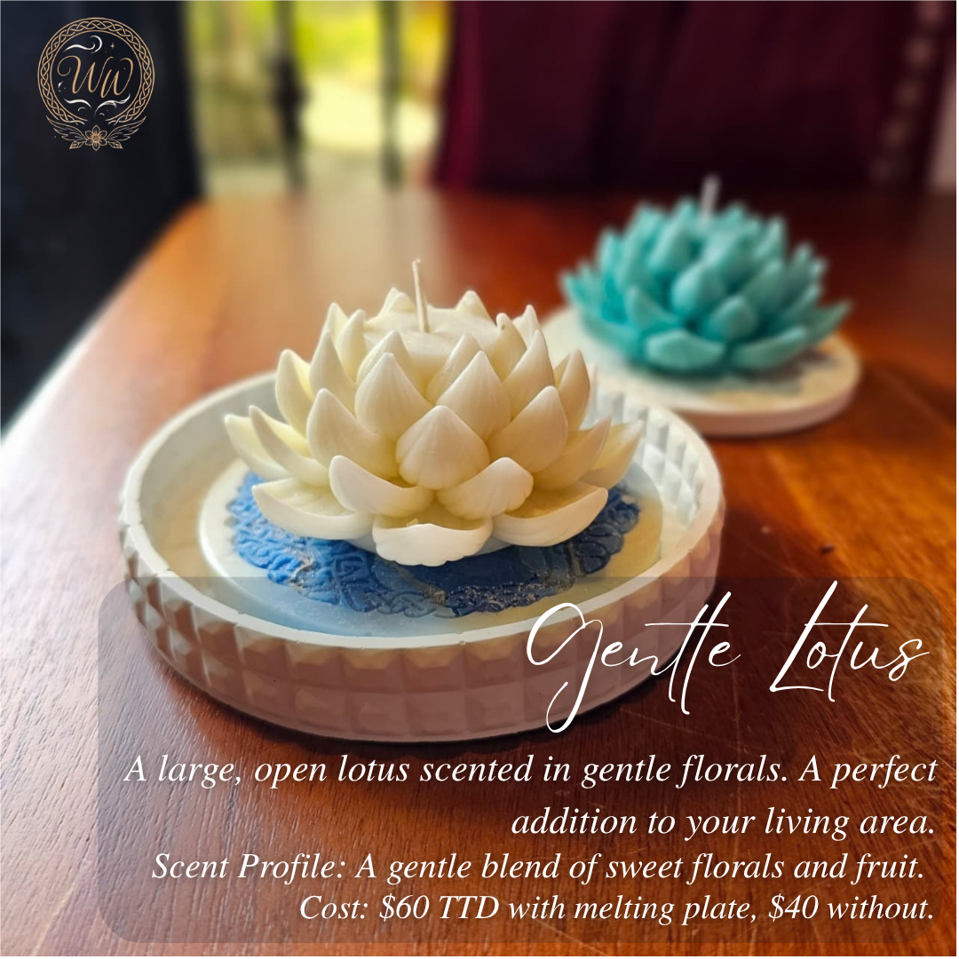 Gentle Lotus