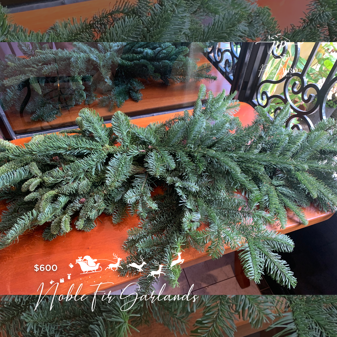 Fresh Noble Fir Garlands