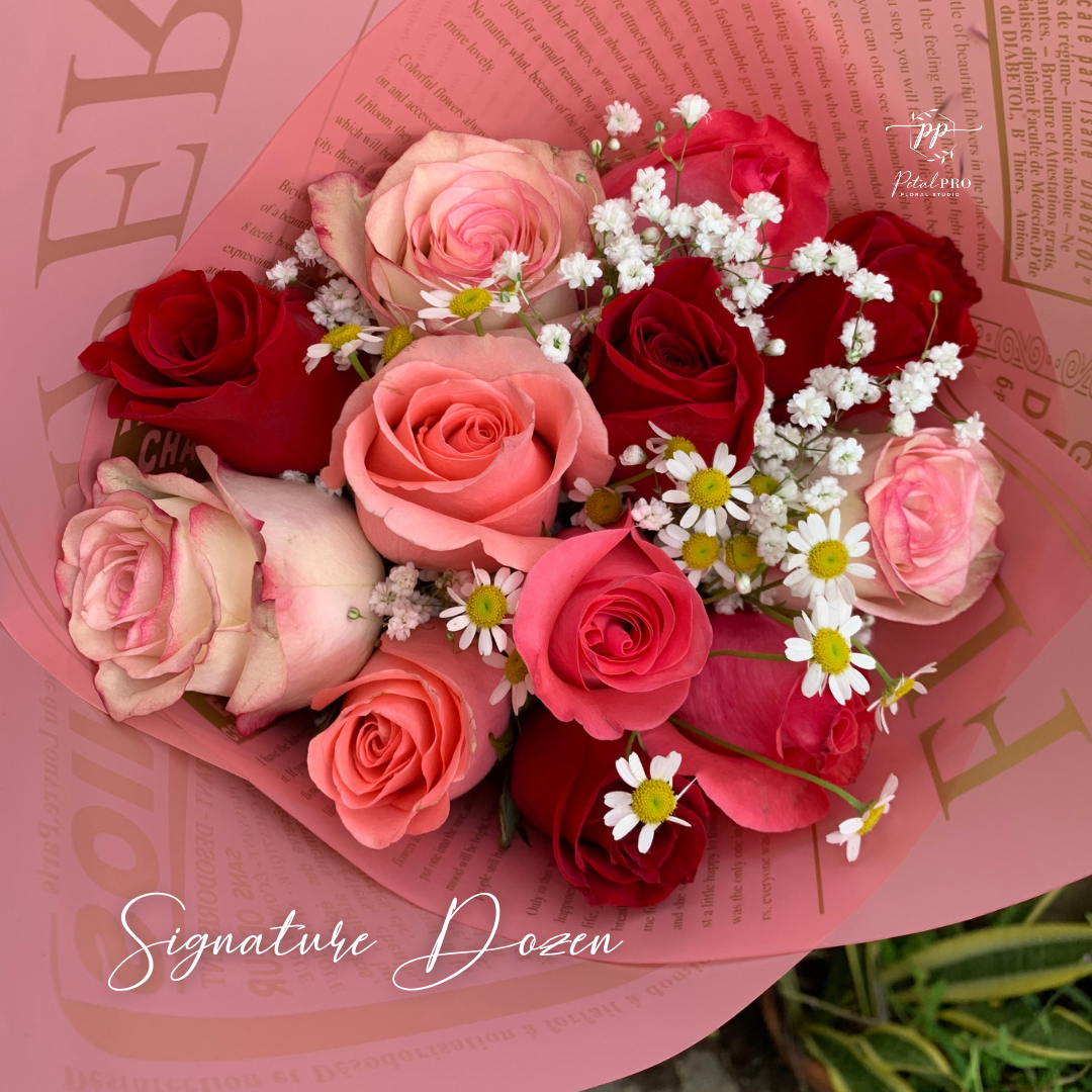 Signature Dozen