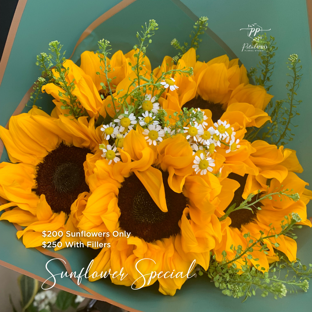 Sunflowers for International Women's Day