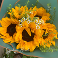 Sunshine Bunch