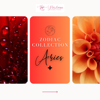 Zodiac Collection: Aries