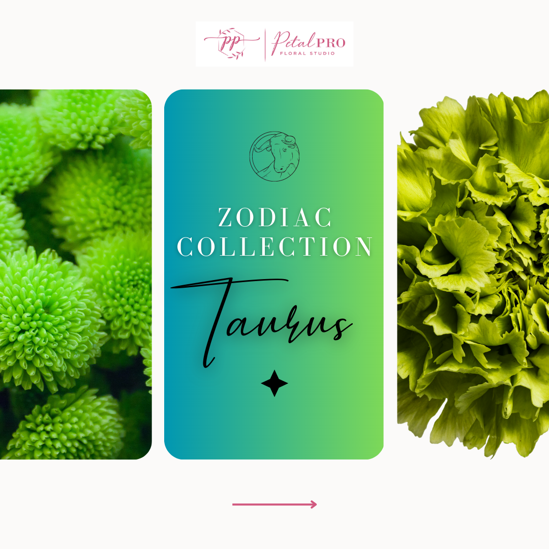 Zodiac Collection: Taurus