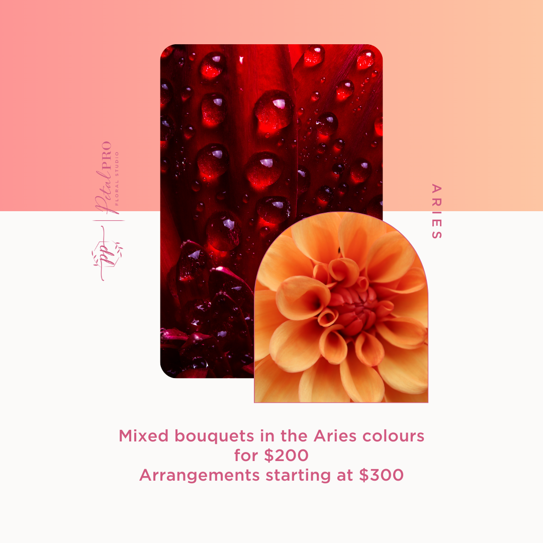 Zodiac Collection: Aries