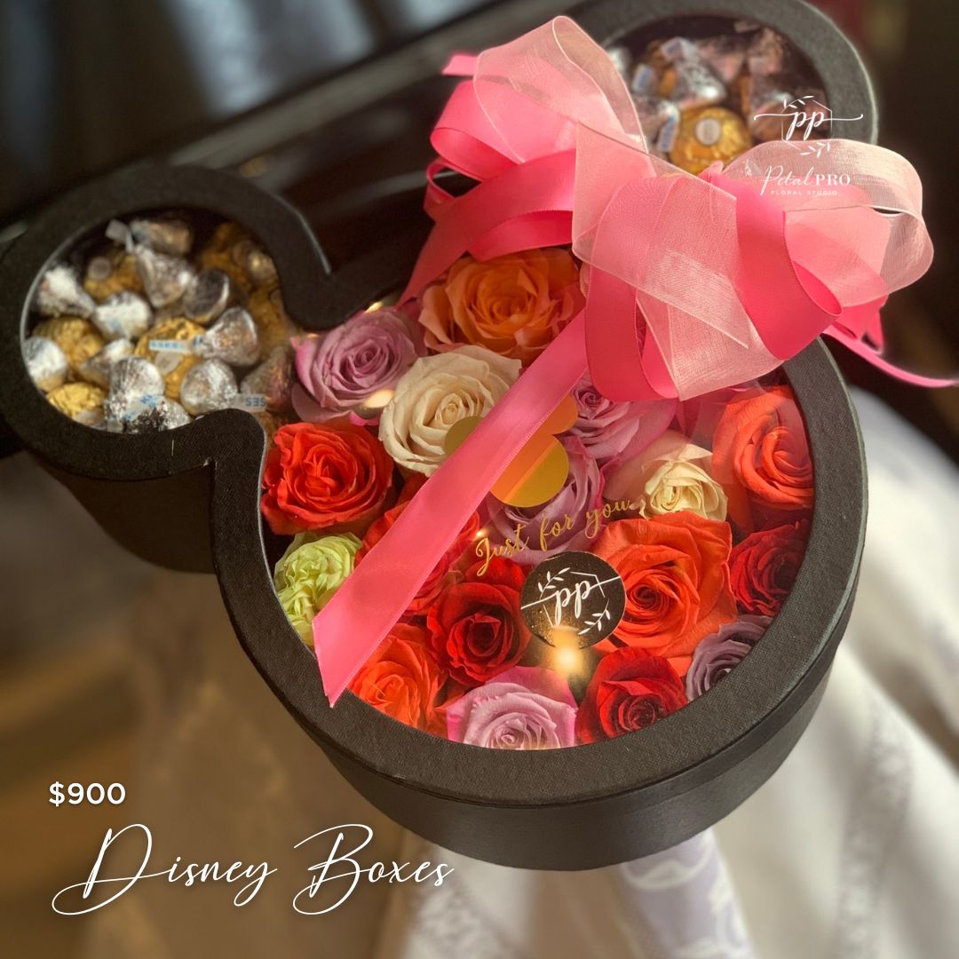 Disney boxes – The Petal Pro