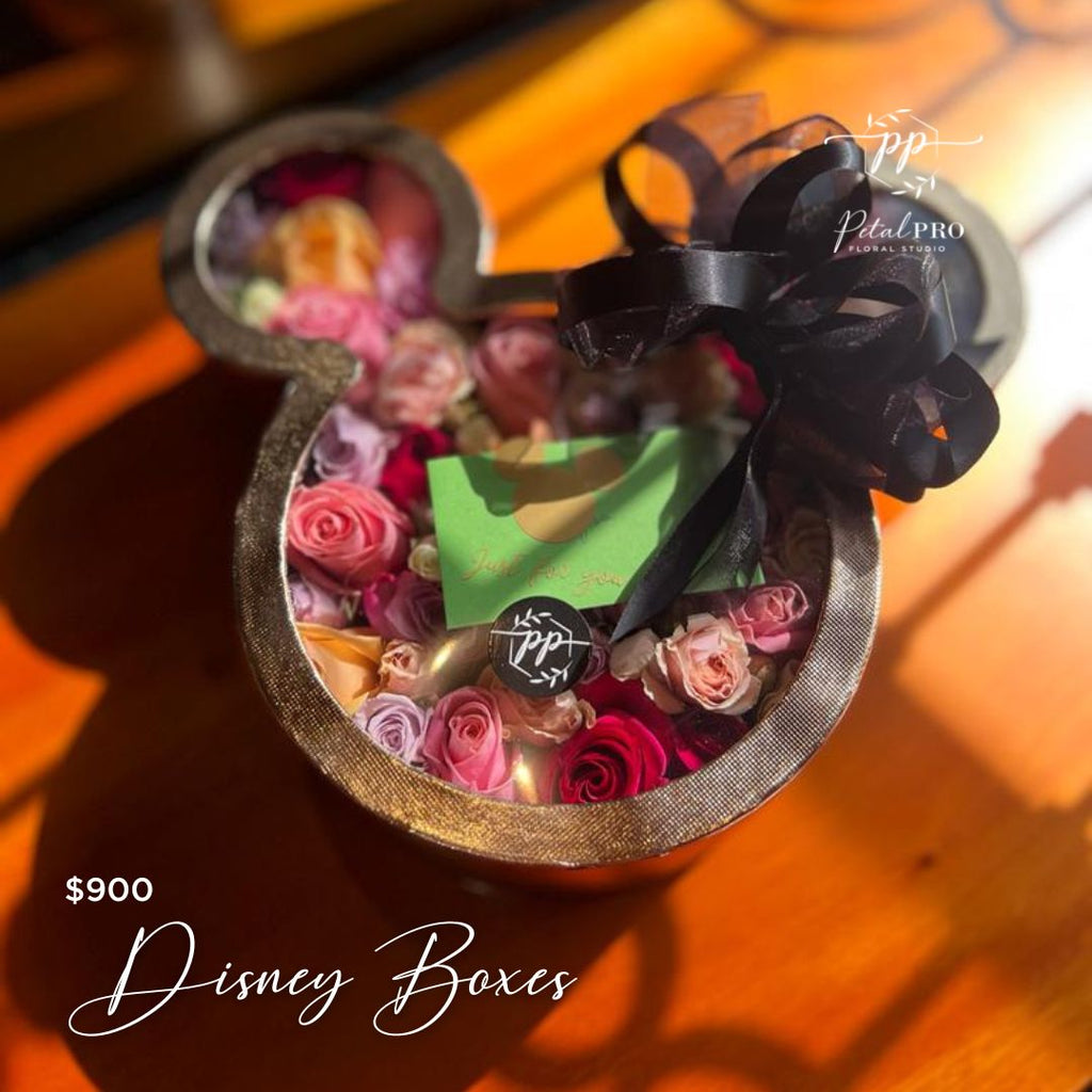 Disney boxes